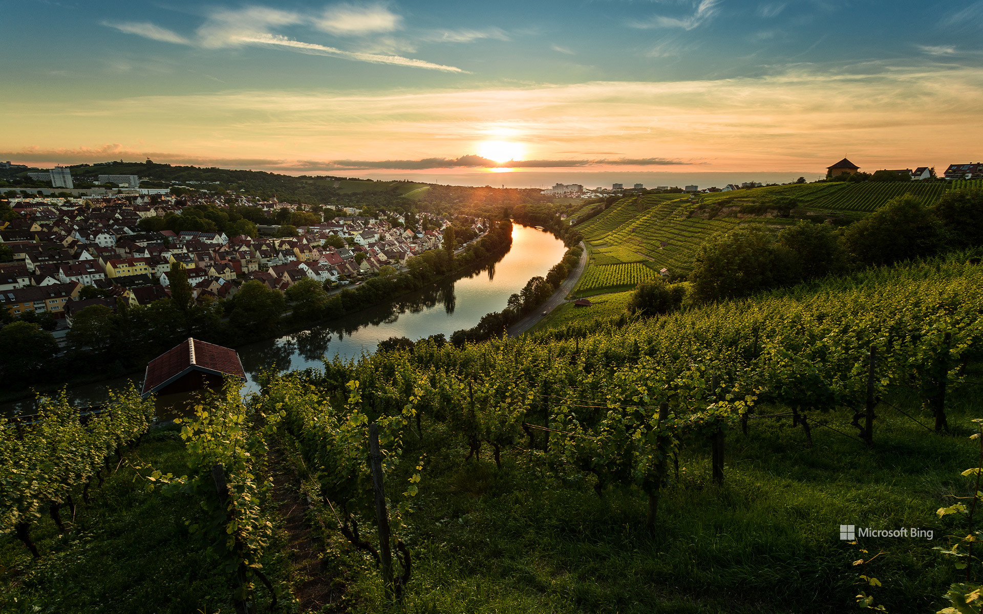 Sonnenuntergang über den Weinbergen von Steinhaldenfeld im Neckartal bei Stuttgart, Baden-Württemberg
